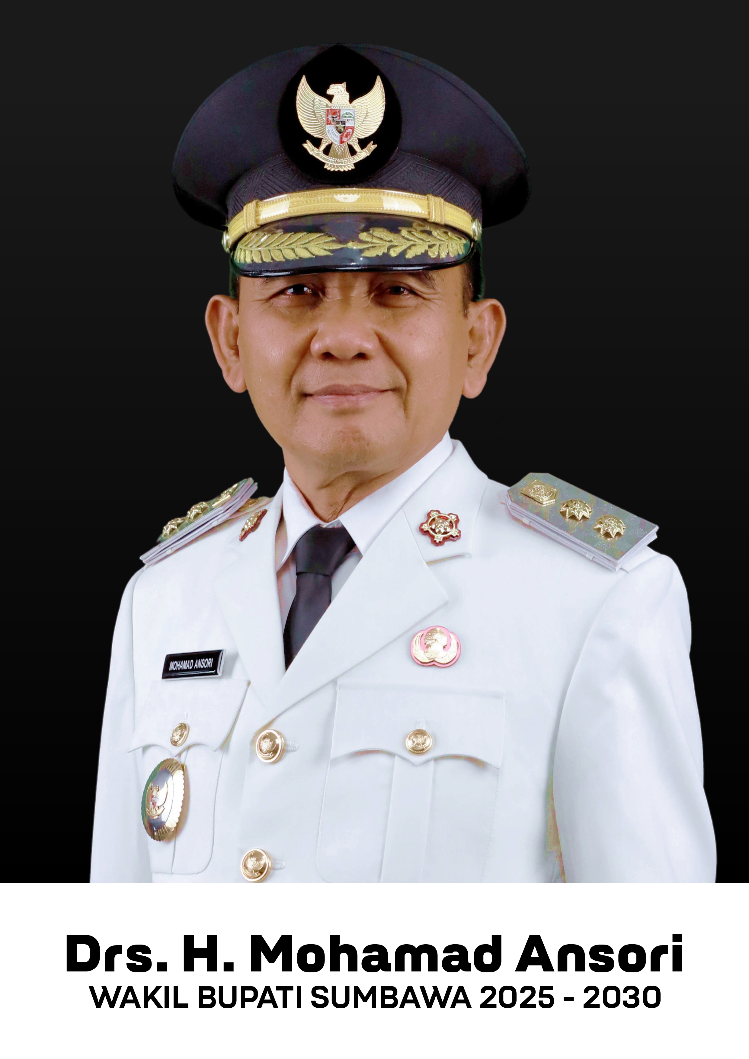 Profil Wakil Bupati