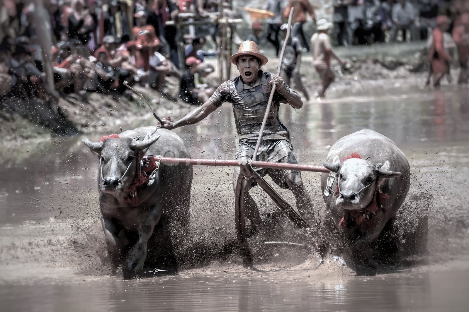 Kependudukan dan  Ketenagakerjaan